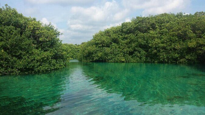 2 tanks Cenote Diving Adventure in Tulum for Certified Divers - Key things that make this cenote trip worth your morning