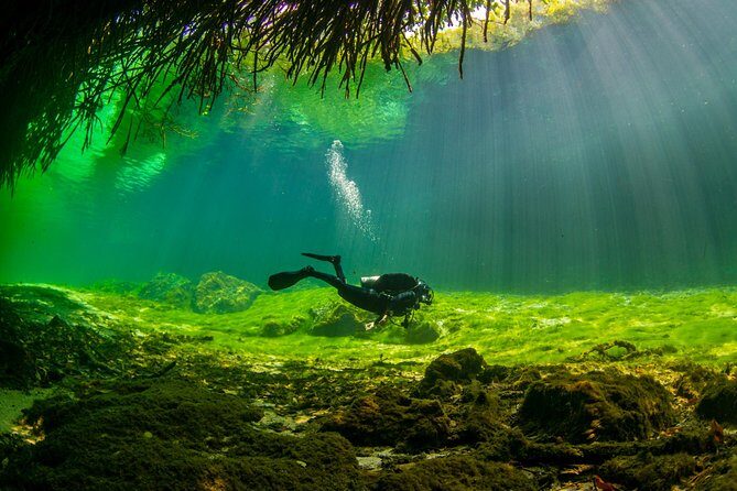 Amazing beginner dive in Tulum cenote (or refresher dive) - Why Casa Cenote is a smart beginner scuba session in Tulum