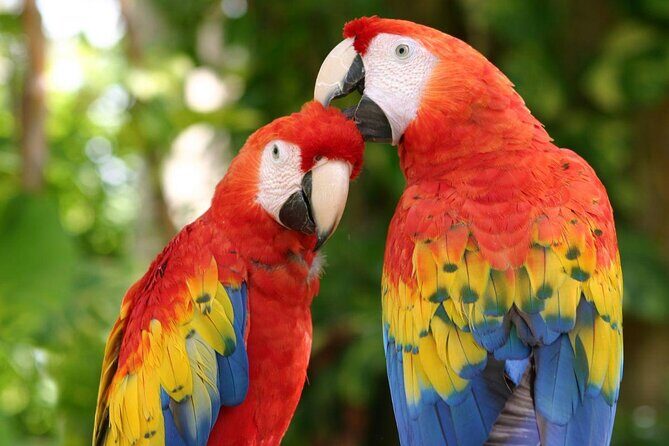 Awesome Tour Day at Xcaret Plus + Transportation from Riviera Maya - Key Points Before You Go