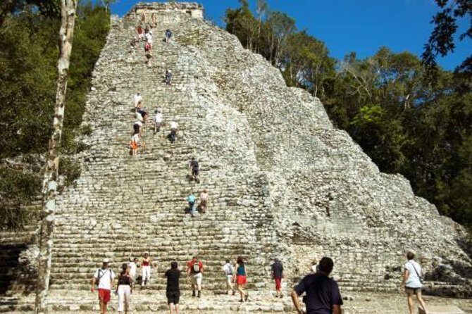 Birdwatching in Coba from Tulum - Shared Group Tour - Key Highlights You’ll Feel in the Field