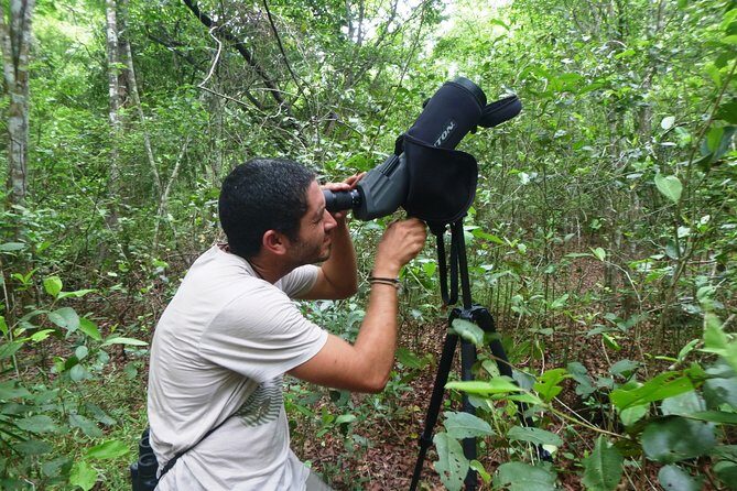 Birdwatching in Sian Ka´an Muyil from Tulum - Shared Group Tour - Stop 2 at the Muyil archaeological zone: learning while you scan