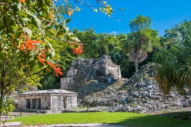 Birdwatching in Sian Ka´an Muyil from Tulum - Shared Group Tour - Guides, telescope help, and keeping track with eBird