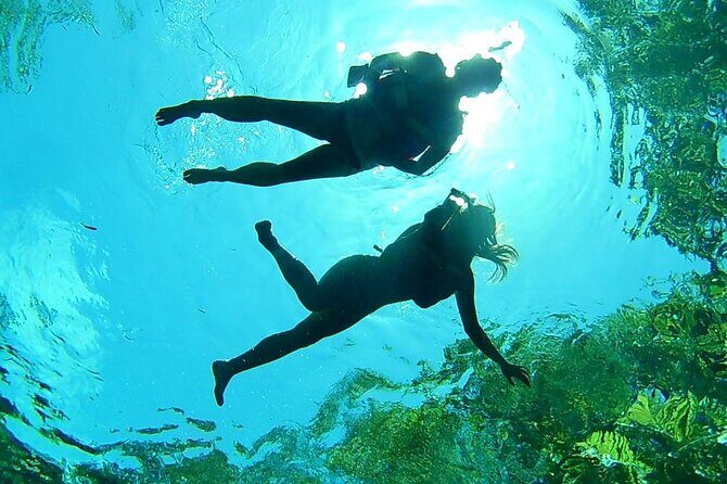 Cenotes Private Tour VIP - Stop 1: Yal-ku Lagoon open-sky cenote time