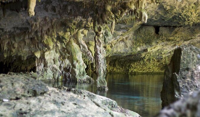 Dos Ojos Cenote Cavern Dive- The Barbie Line and The Bat Cave - Key takeaways before you go