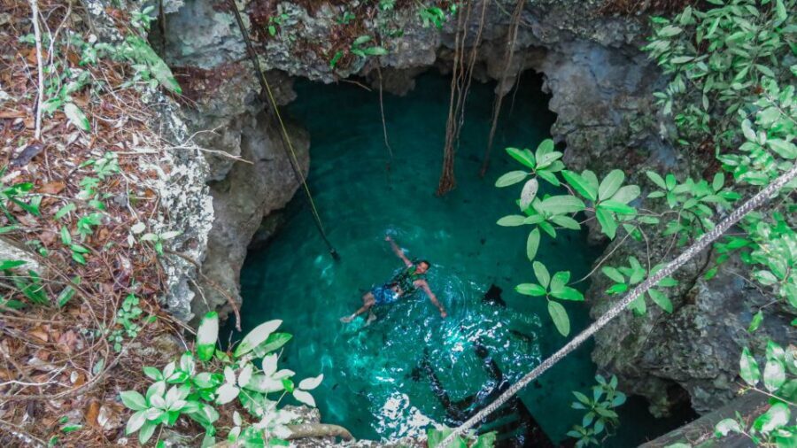 From Riviera Maya: Snorkeling & Private Cenote Half-Day Tour - Price and value: is $169 worth it?