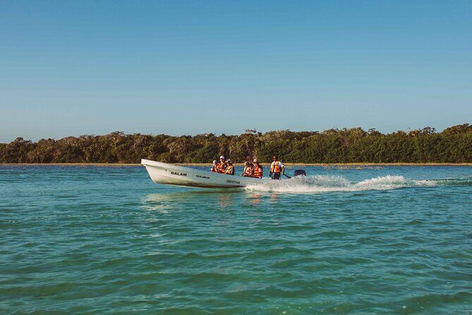 Half-Day Tour Discovering Sian Ka´an with Lunch - Boca Paila: the wildlife crossroads (and why it’s worth the ride)