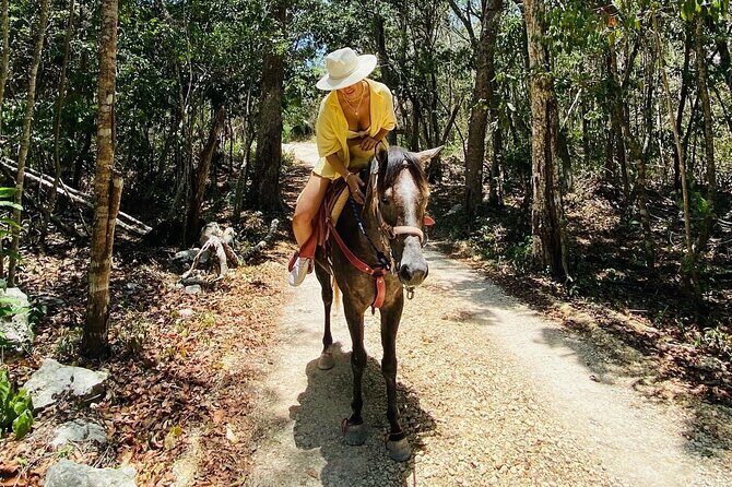 Horse Ride to Cenote Mil Columnas - Quick highlights for your Cenote Mil Columnas ride