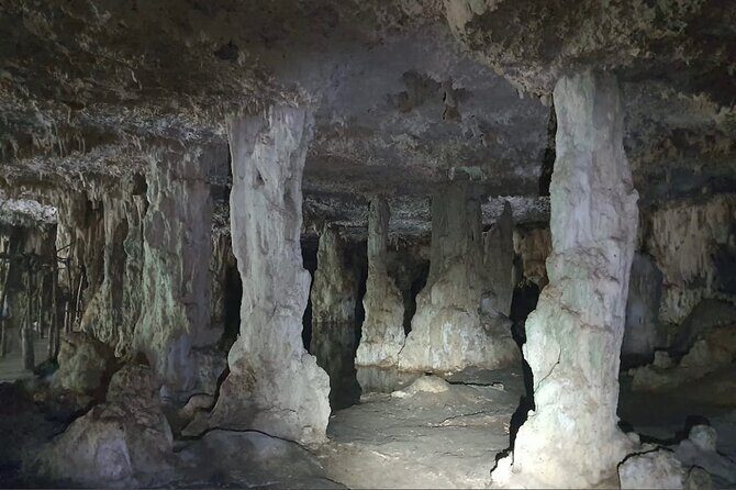 Horse Ride to Cenote Mil Columnas - Horseback ride to Cenote Mil Columnas: what the route feels like