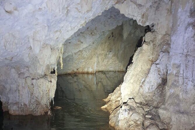 Horse Ride to Cenote Mil Columnas - Price and value: does $104.73 make sense for Tulum?