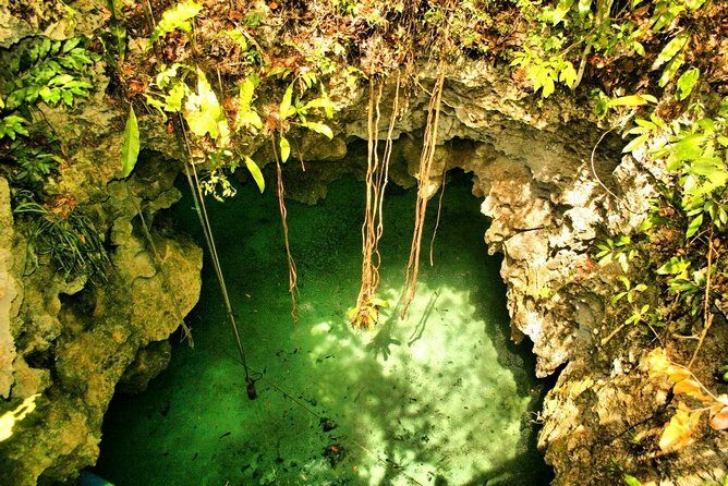 Silent Meditation in the Heart of the Cenote - Private groups - Price and Value: Is $344 Per Person Fair?