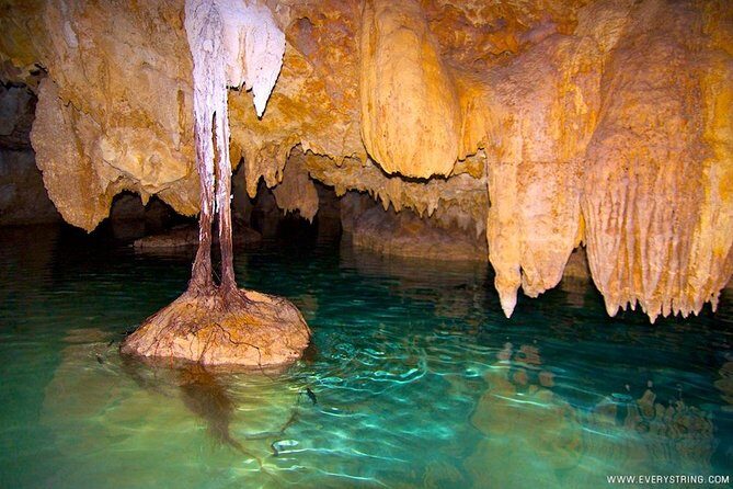 Silent Meditation in the Heart of the Cenote - Private groups - Snorkeling in Pristine Water, Without the Usual Rush