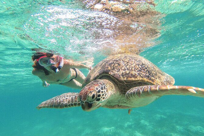 Tour to Tulum and Cenote Swimming with Turtles from Tulum - Key highlights to know before you go