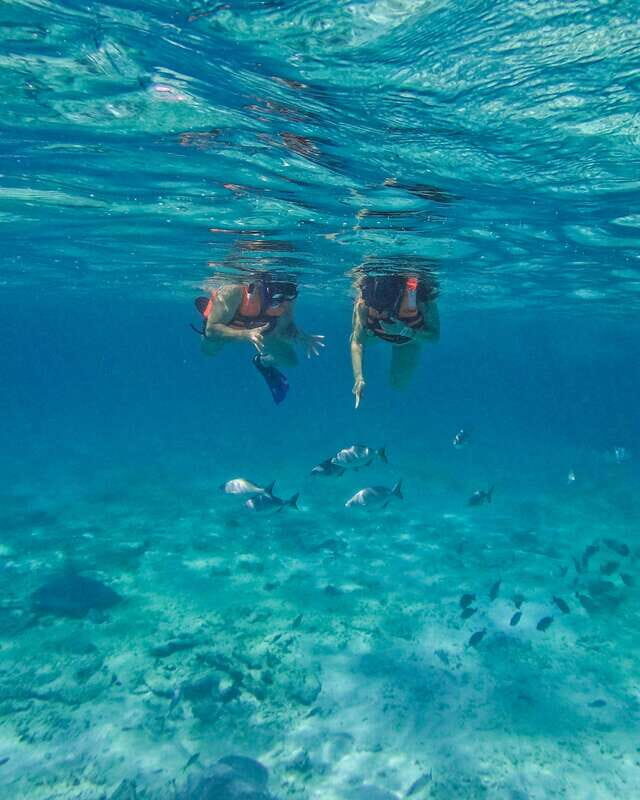Tulum: 2-Hour Snorkeling in Two Spots of Tulum's Reef - The boat ride: ruins, sea air, and your first wildlife scan