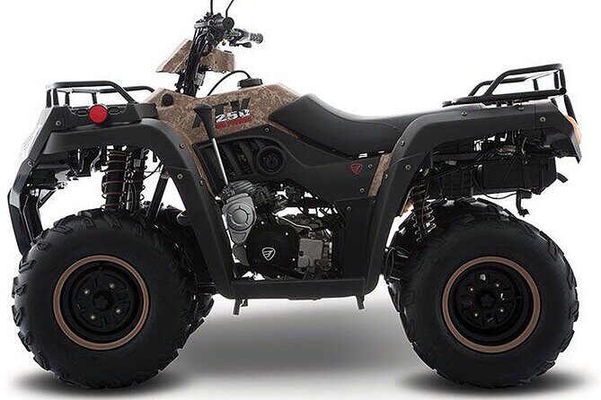 Tulum Area Experiences Guided ATV Tour to 3 Cenote's, Snorkel/Swim & Local Lunch - A 6-hour mix of jungle riding and three cenote swims