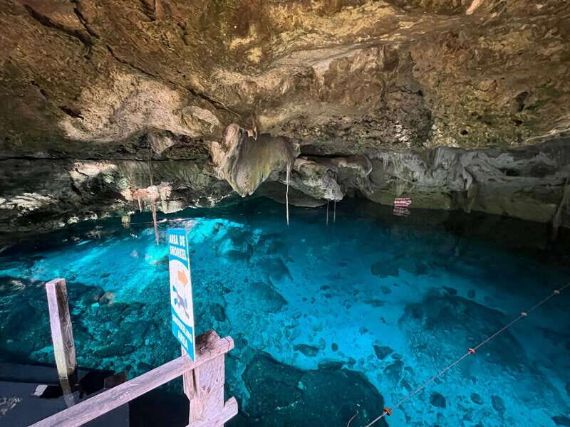 Tulum: Dos Ojos Cenote 2 Scuba Dives with Transfer Option - Getting there: Dos Ojos Park or Starbucks Tulum DT (and how transfers work)