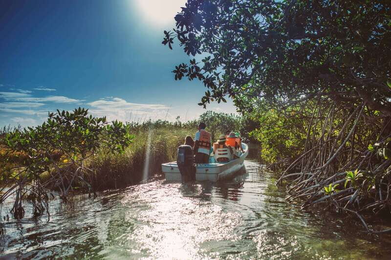 Tulum: Mayan Ruins & Sian Kaan Tour with Boat Ride and Lunch - Tulum-to-Sian Ka’an: the half-day rhythm that works in real life