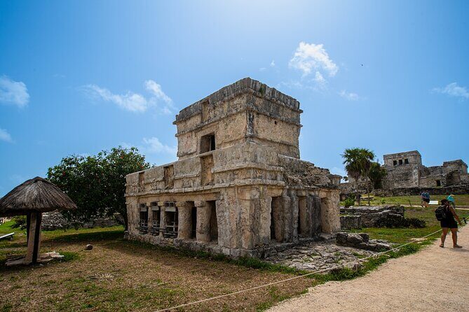 Tulum Ruins, Cenote Cave and Swimming with Turtles From Tulum - Akumal Bay turtle snorkeling: The highlight, with real rules
