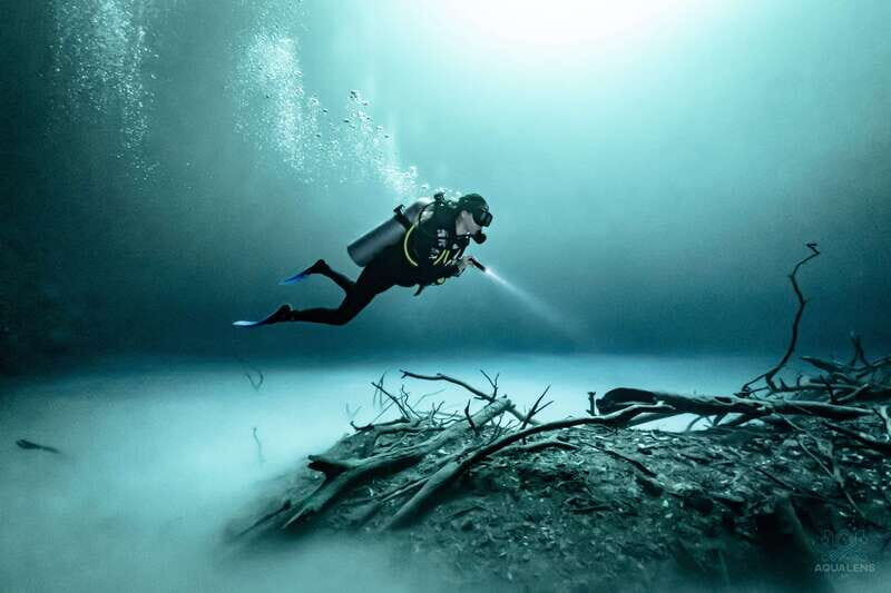 Tulum : Scuba in 2 cenotes including a deep one Pit Dos Ojos - Cenote El Pit: The Halocline Moment and the 25-Meter Sulfur Cloud