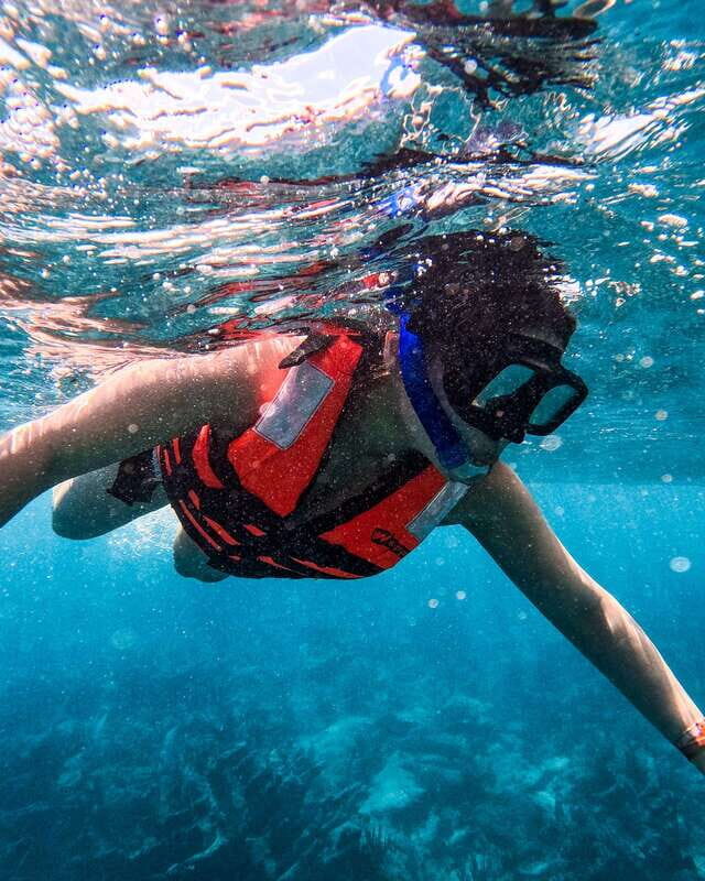 Tulum: Snorkeling at Paradise Reef - Key points before you go