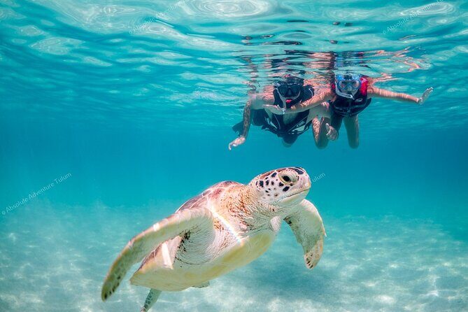 Tulum VIP Private Tour with Sea Turtles & Cenote – Award-Winning - Beating Tulum crowds with an early ruins entry
