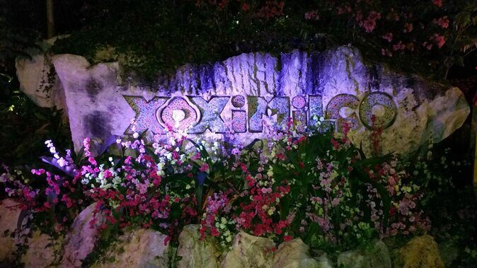 Xoximilco Night Cruise With Round Transportation from Tulum City - Xoximilco Night Cruise from Tulum: Why This Feels Like a Real Mexican Night Out